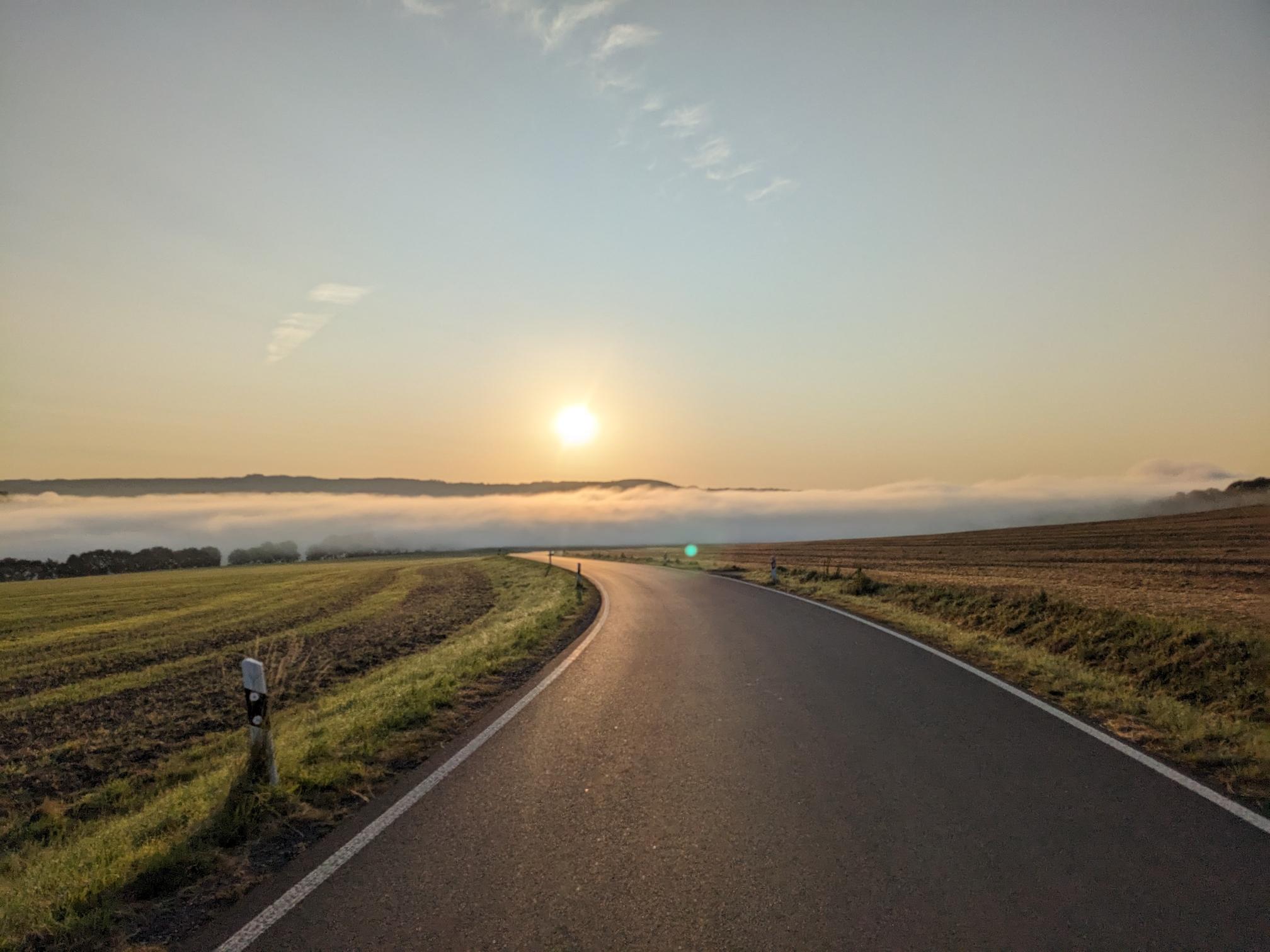 Nebel über Weißig
