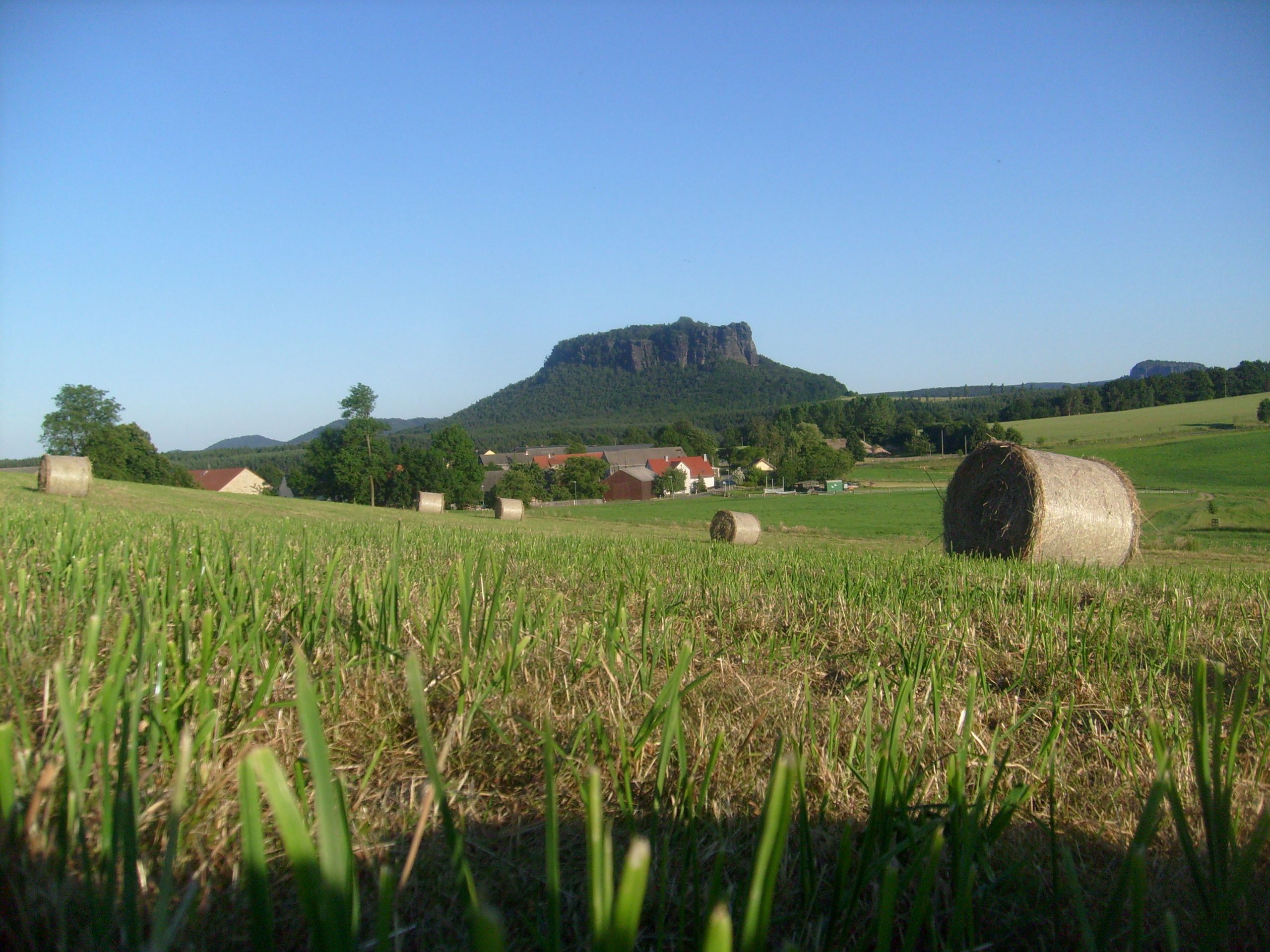 Weißig mit Lilienstein